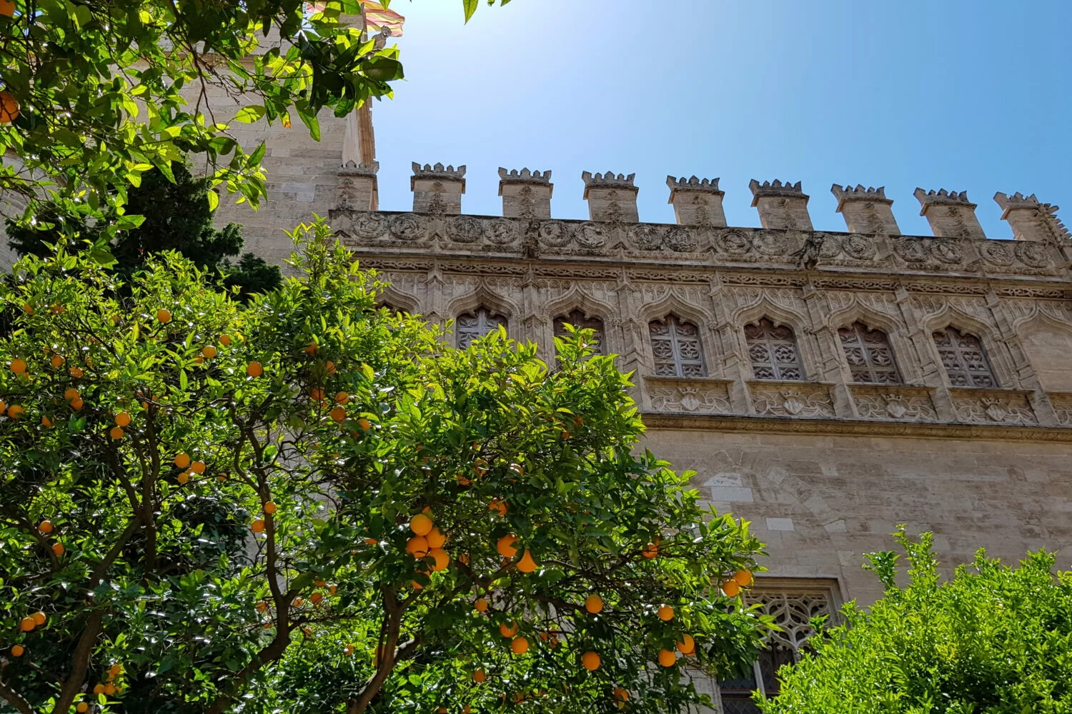 Guided tour of Valencia city centre