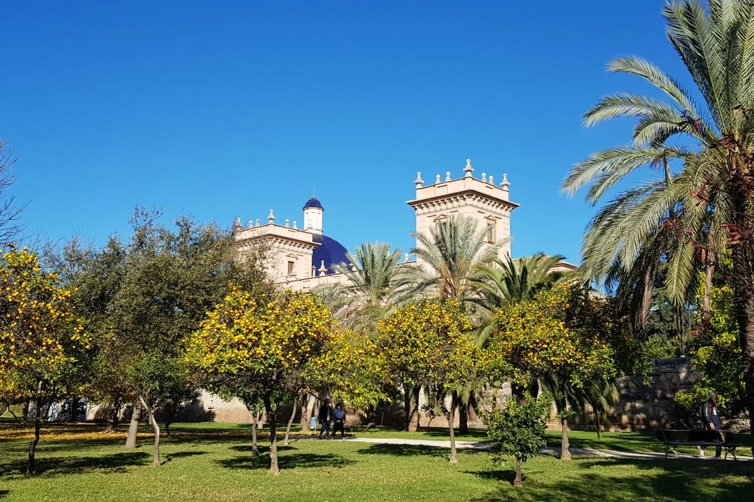 Guided tour Valencia