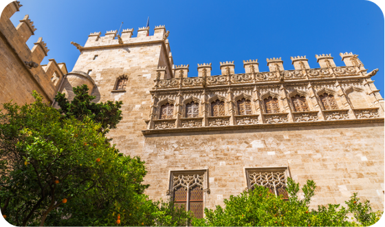 Tour of Valencia city centre in English