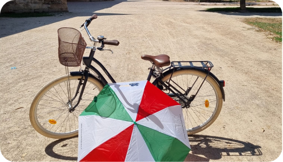 Bike tour in Valencia